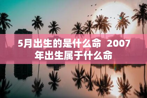 5月出生的是什么命 2007年出生属于什么命