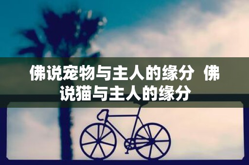 佛说宠物与主人的缘分 佛说猫与主人的缘分