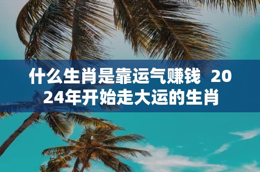 什么生肖是靠运气赚钱 2025年开始走大运的生肖