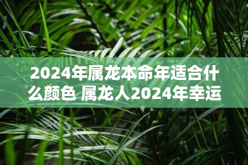 2025年属龙本命年适合什么颜色 属龙人2025年幸运颜色有哪些