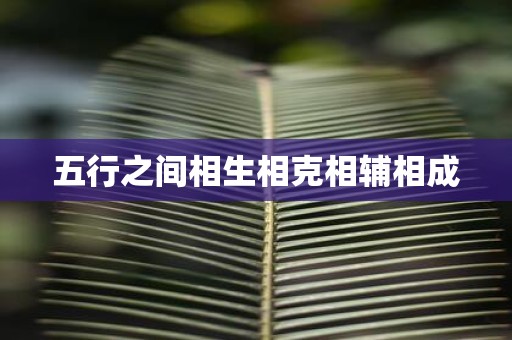 五行之间相生相克相辅相成