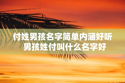 付姓男孩名字简单内涵好听 男孩姓付叫什么名字好