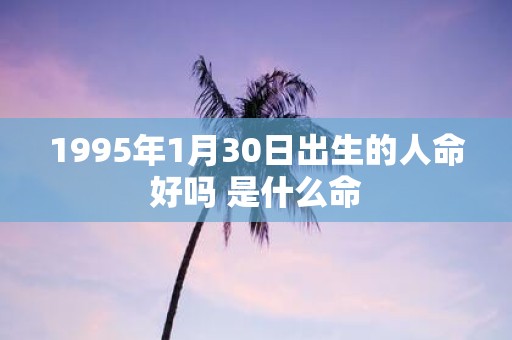 1995年1月30日出生的人命好吗 是什么命