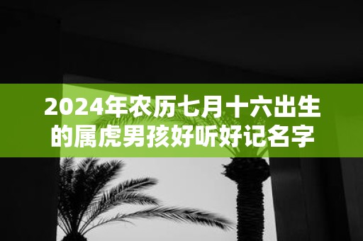 2025年农历七月十六出生的属虎男孩好听好记名字