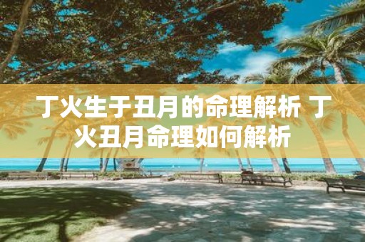 丁火生于丑月的命理解析 丁火丑月命理如何解析