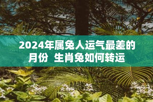 2025年属兔人运气最差的月份 生肖兔如何转运