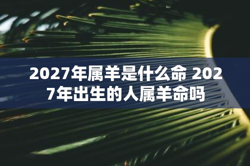 2027年属羊是什么命 2027年出生的人属羊命吗