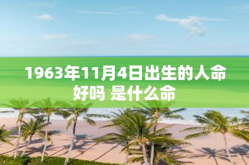 1963年11月4日出生的人命好吗 是什么命