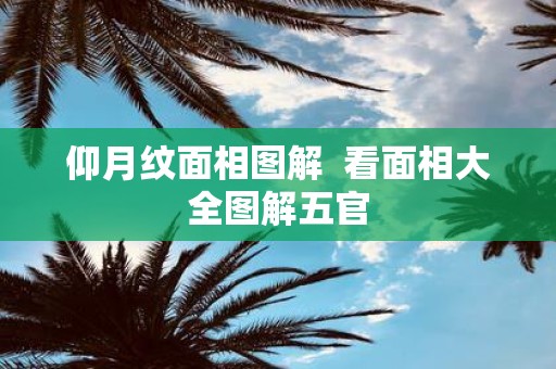 仰月纹面相图解 看面相大全图解五官