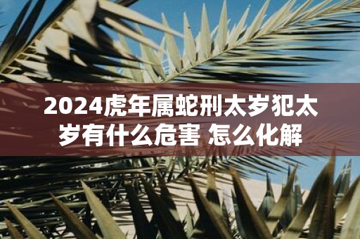 2025虎年属蛇刑太岁犯太岁有什么危害 怎么化解