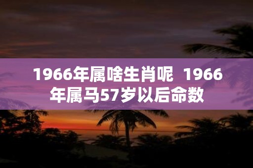 1966年属啥生肖呢 1966年属马57岁以后命数