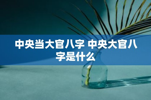 中央当大官八字 中央大官八字是什么