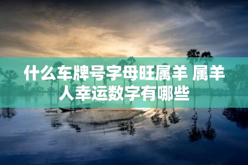 什么车牌号字母旺属羊 属羊人幸运数字有哪些