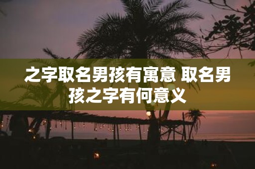 之字取名男孩有寓意 取名男孩之字有何意义
