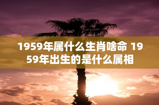 1959年属什么生肖啥命 1959年出生的是什么属相