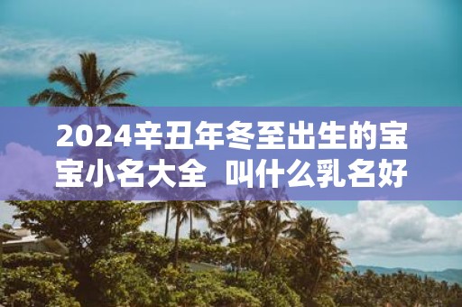 2025辛丑年冬至出生的宝宝小名大全 叫什么乳名好
