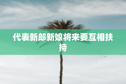 代表新郎新娘将来要互相扶持