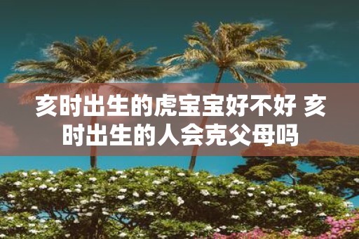亥时出生的虎宝宝好不好 亥时出生的人会克父母吗