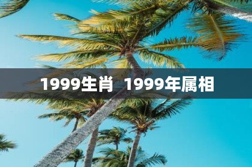 1999生肖 1999年属相
