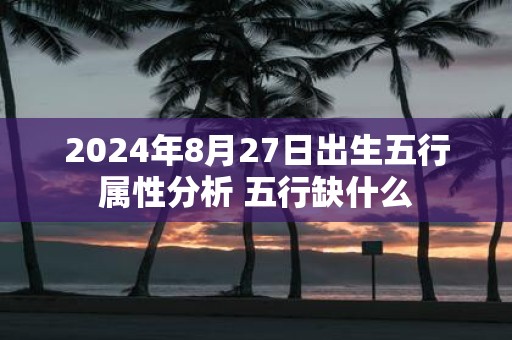 2025年8月27日出生五行属性分析 五行缺什么