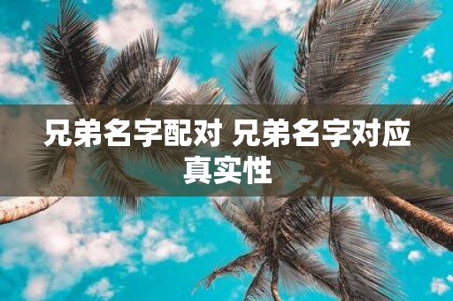 兄弟名字配对 兄弟名字对应真实性