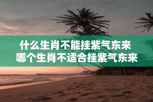 什么生肖不能挂紫气东来 哪个生肖不适合挂紫气东来