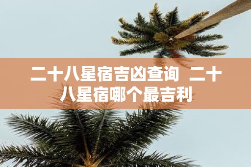 二十八星宿吉凶查询 二十八星宿哪个最吉利