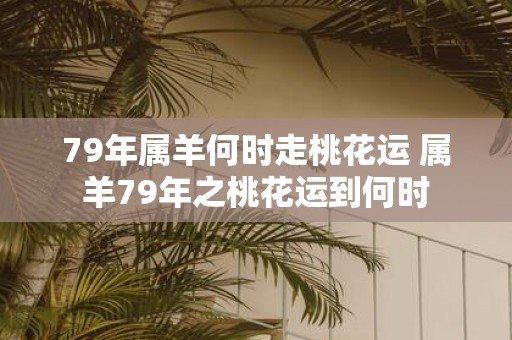 79年属羊何时走桃花运 属羊79年之桃花运到何时
