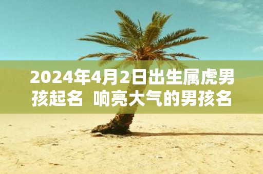 2025年4月2日出生属虎男孩起名 响亮大气的男孩名字