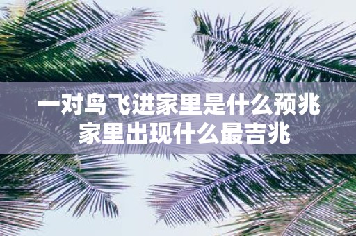 一对鸟飞进家里是什么预兆 家里出现什么最吉兆