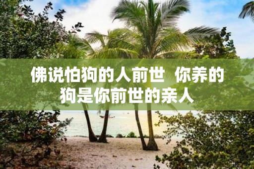 佛说怕狗的人前世 你养的狗是你前世的亲人