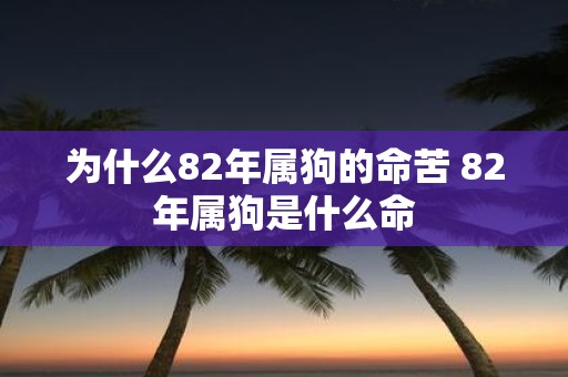 为什么82年属狗的命苦 82年属狗是什么命