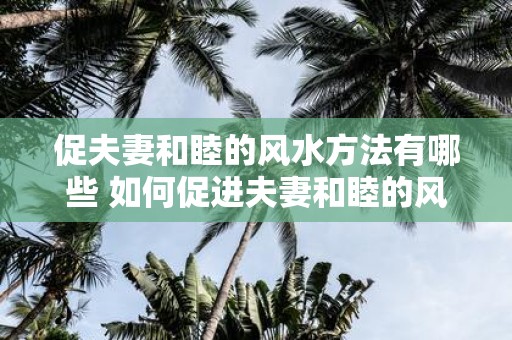 促夫妻和睦的风水方法有哪些 如何促进夫妻和睦的风水方法