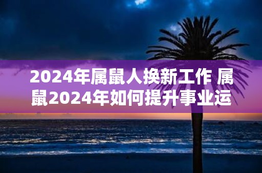 2025年属鼠人换新工作 属鼠2025年如何提升事业运