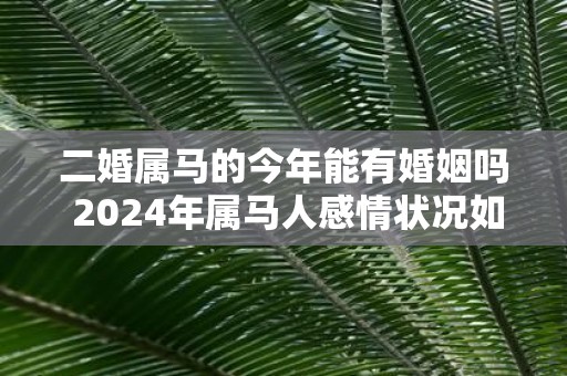 二婚属马的今年能有婚姻吗 2025年属马人感情状况如何