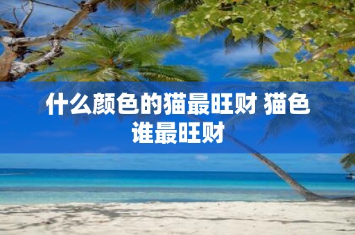 什么颜色的猫最旺财 猫色谁最旺财