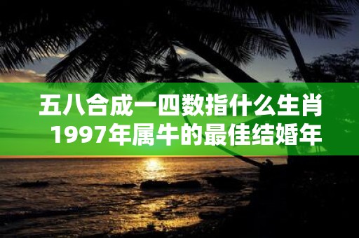五八合成一四数指什么生肖 1997年属牛的最佳结婚年龄