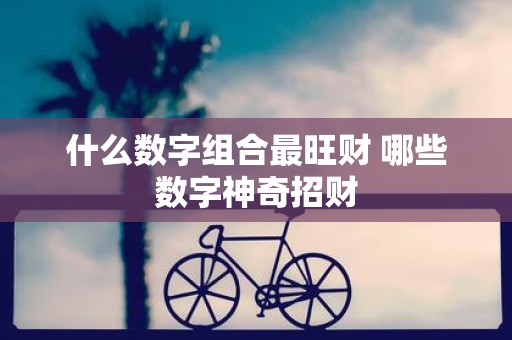 什么数字组合最旺财 哪些数字神奇招财
