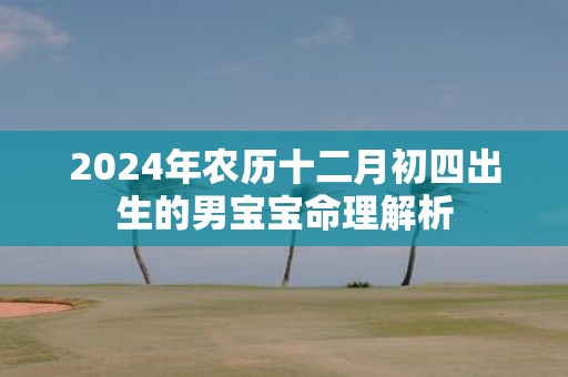 2025年农历十二月初四出生的男宝宝命理解析