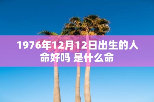 1976年12月12日出生的人命好吗 是什么命