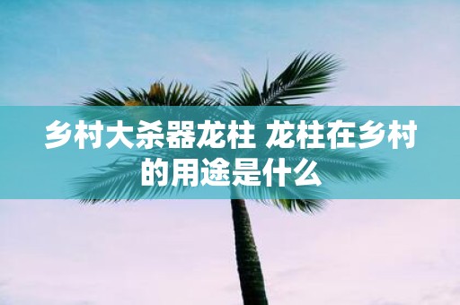 乡村大杀器龙柱 龙柱在乡村的用途是什么