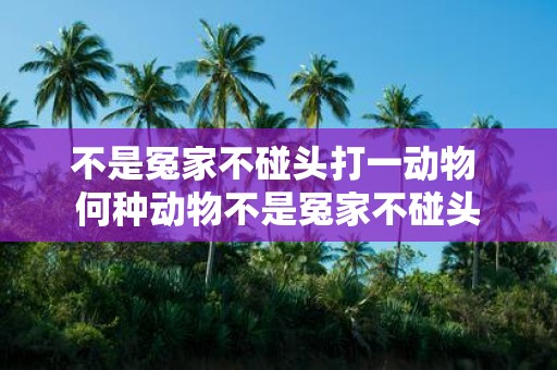 不是冤家不碰头打一动物 何种动物不是冤家不碰头