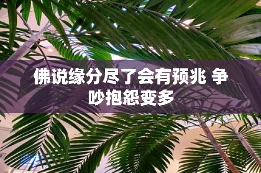 佛说缘分尽了会有预兆 争吵抱怨变多