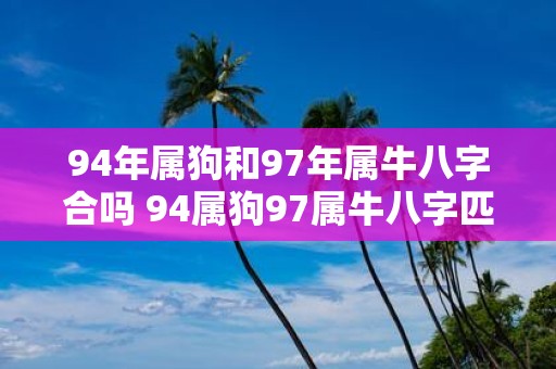 94年属狗和97年属牛八字合吗 94属狗97属牛八字匹配吗