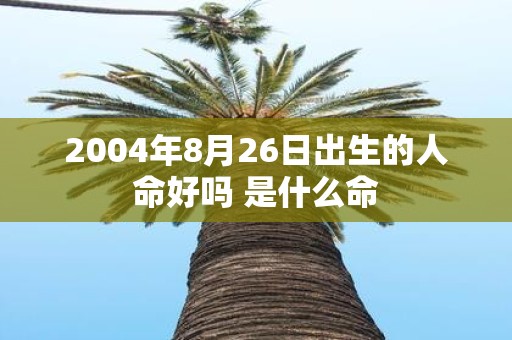 2004年8月26日出生的人命好吗 是什么命