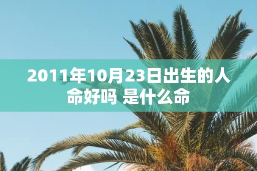 2011年10月23日出生的人命好吗 是什么命