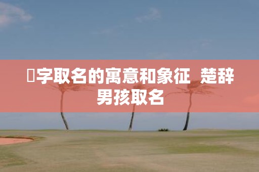 乂字取名的寓意和象征 楚辞男孩取名