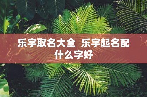 乐字取名大全 乐字起名配什么字好