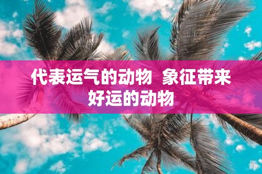 代表运气的动物 象征带来好运的动物