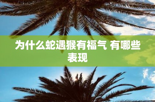 为什么蛇遇猴有福气 有哪些表现